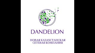 Приглашение и бизнес. Максат Ахметбек. Директор по развитию сети. #DANDELIONGLOBAL #DANDELIONKZ