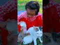 Breastfeeding Monkeys #cutebaby#babymongkey #babymonkey #babymonkeyattacked #babymonkeyvideos 53