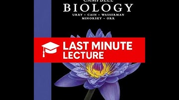 Het celoverzicht | Eenheid 2 – Campbell Biology (12e) (herzien)