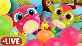 Download Lagu 🔴Gli episodi migliori dei cartoni animati con Gufetto Hophop! Cartoni animati per i bambini piccoli MP3 Download Lagu 🔴Gli episodi migliori dei cartoni animati con Gufetto Hophop! Cartoni animati per i bambini piccoli MP3
