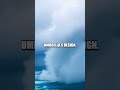 Wacky Weather Wonders You Didn't Know About!