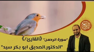 ما تيسر من سورة الرحمن.. مقام الكرد الجميل _والحجاز _والسيكا _والبيات الحزين.