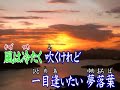 『夢落葉』
