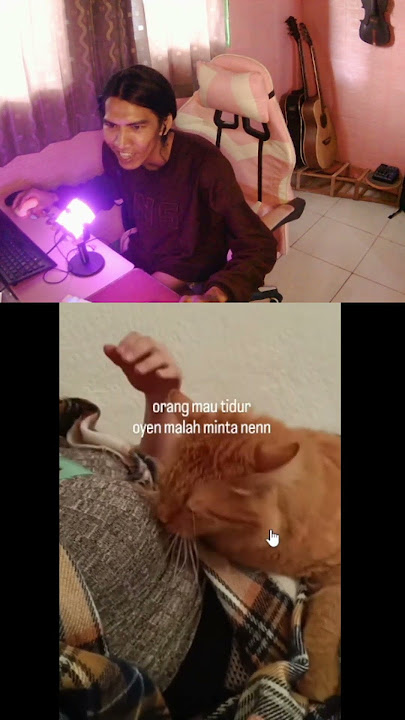 SUARA PEMANGGIL KUCING