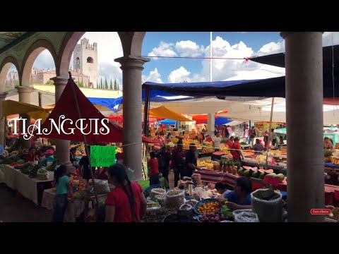 Miércoles De Plaza - Tianguis De Actopan Hidalgo México