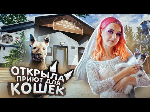 ПРИЮТИЛА ТРЕХ КОШЕК! ► Animal Shelter #1