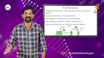 First Bell 2.0 Plus One Botany Class 12