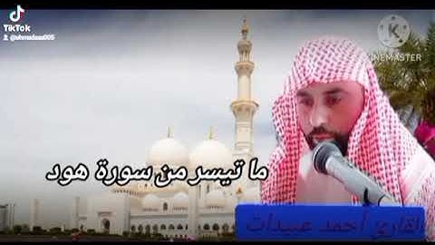 #سورة_هود 2