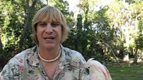 Peanuts and Birds with Rod Villemaire.wmv