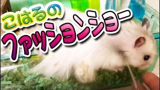 床材！とただタイミングよく言いたいだけの動画です。