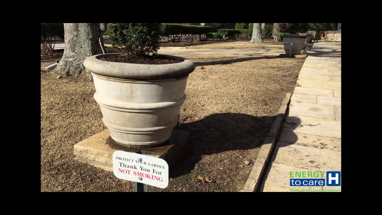 Develop an Organizational Environmental Principles Statement