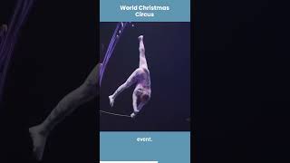 ✅Experience the Magic of the Holidays at the Wereldkerstcircus