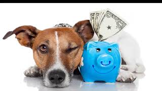 Pet Tax Deductions: Can you deduct pet expenses on taxes