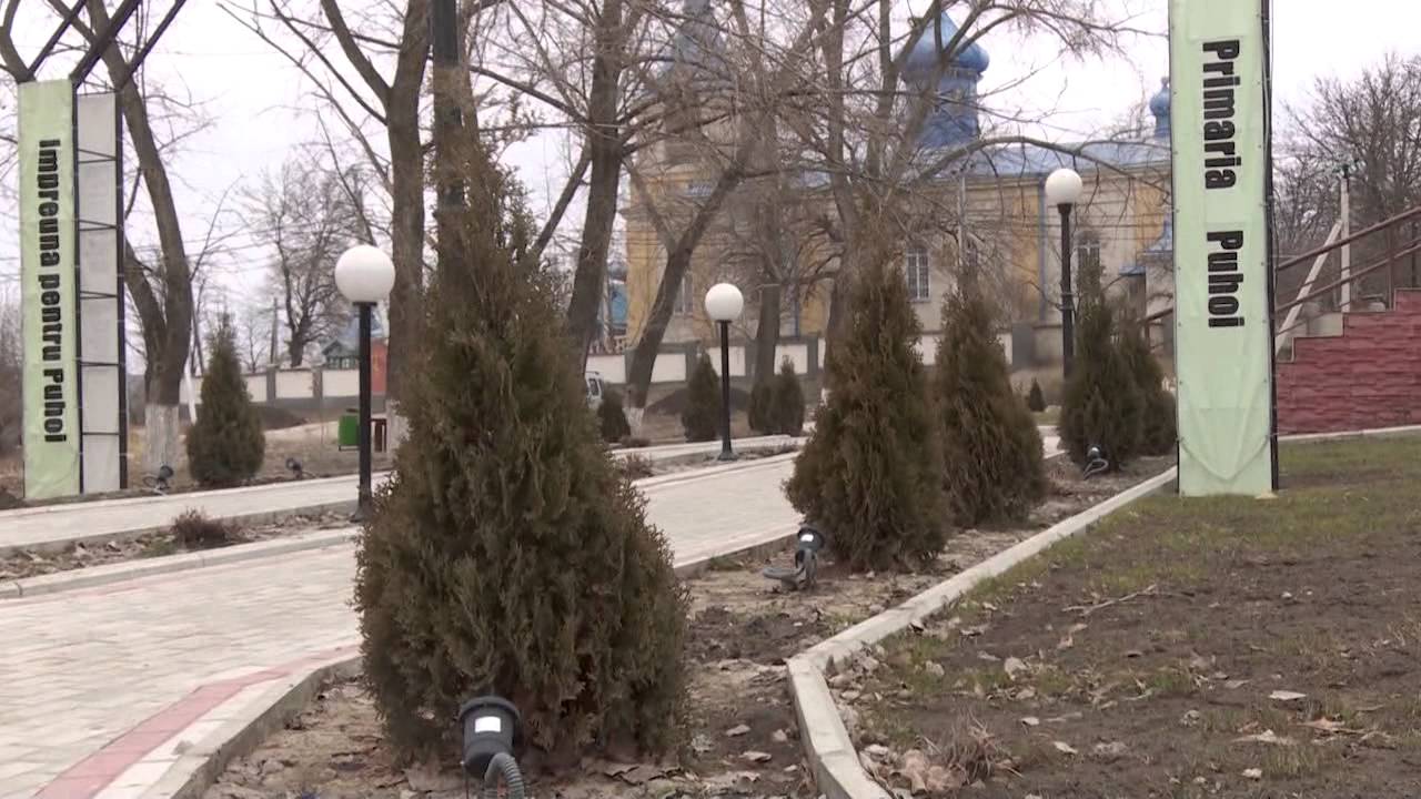 Petru Frunze Primar de Puhoi