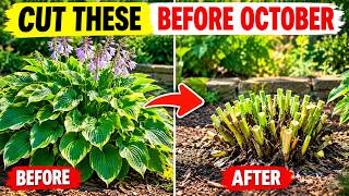 9 Perennials You MUST Cut Back to the Ground Before October Ends (Do This NOW!)