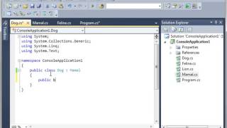 C# from Scratch - Class Inheritance