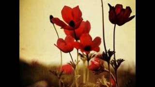 Belki Birgün - Cakal