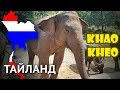 Тайланд 2013 #8 - Зоопарк Кхао Кхео (Паттайя)