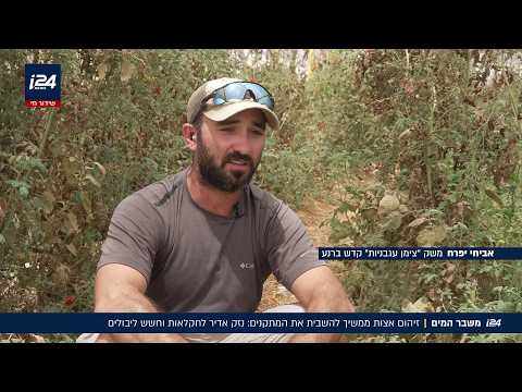 Agriculture in Crisis: Massive Crop Damage Following Desalination Plant Shutdown