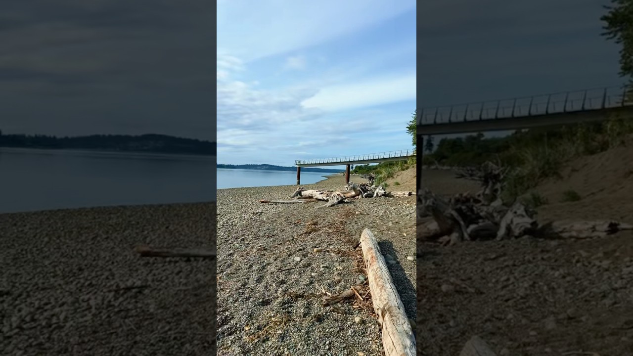 Chambers bay beach park.  