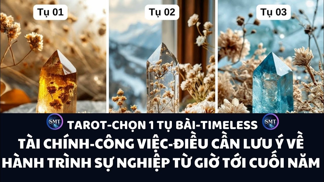 Chọn tụ bài: CÔNG VIỆC-TÀI CHÍNH-ĐIỀU CẦN LƯU Ý VỀ SỰ NGHIỆP TỪ GIỜ TỚI CUỐI NĂM (TIMELESS)