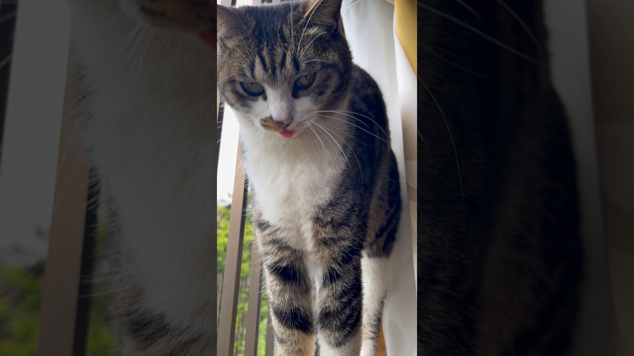 ひさしぶりの雨うれしい