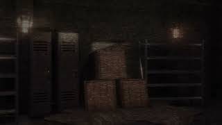 RESTRICTED_footage.mp4