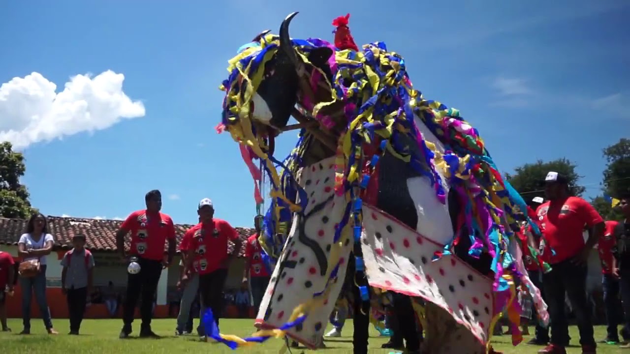 Toro de Petate - Xochistlahuaca 2018