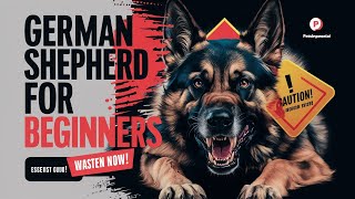German Shepherd for first time dog owners | Watch This Before Getting Your Puppy | Petsinfomania