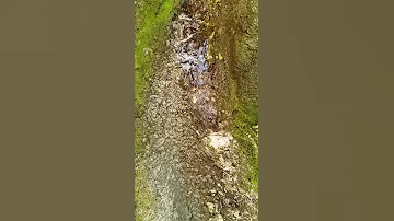 أضيفت على الحزن العبق 