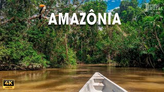 SELVA AMAZÔNICA: Onde Vivem as Criaturas Mais Fascinantes da Terra | Documentário Completo