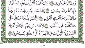 سورة يس مكتوبة بصوت شيخ رعد محمد الكردى