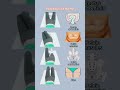 Pelvic Floor + Core Workout at Home #coreworkout #pelvicfloor #fitness #gym #posturefix #shorts