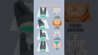 Pelvic Floor + Core Workout at Home #coreworkout #pelvicfloor #fitness #gym #posturefix #shorts