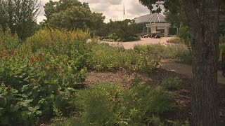 Fort Worth Botanic Garden seeking input on master plan redesigns