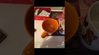 IMG 7126