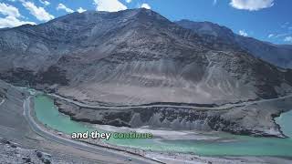 Lifelines of the Earth: Why Rivers Are Essential for the Environment ?