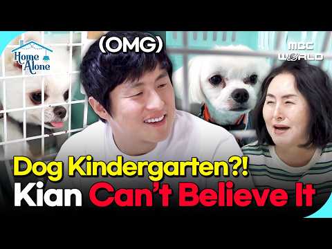 [K-STAR] Dog Kindergarten <strong>in</strong> <strong>Jeju</strong>?! Kian84 Is Speechless!😮#DogLife #Pets