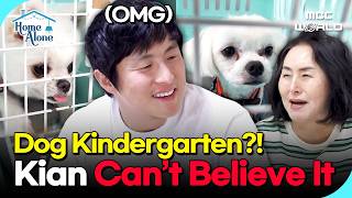 [K-STAR] Dog Kindergarten in Jeju?! Kian84 Is Speechless!😮#DogLife #Pets