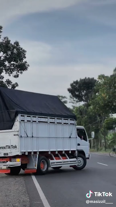 TRUCK MBOIS GAES CANTER HEREX MAS IZZIL #fypshorts #pejuangrupiah #truckindonesia #cantermania