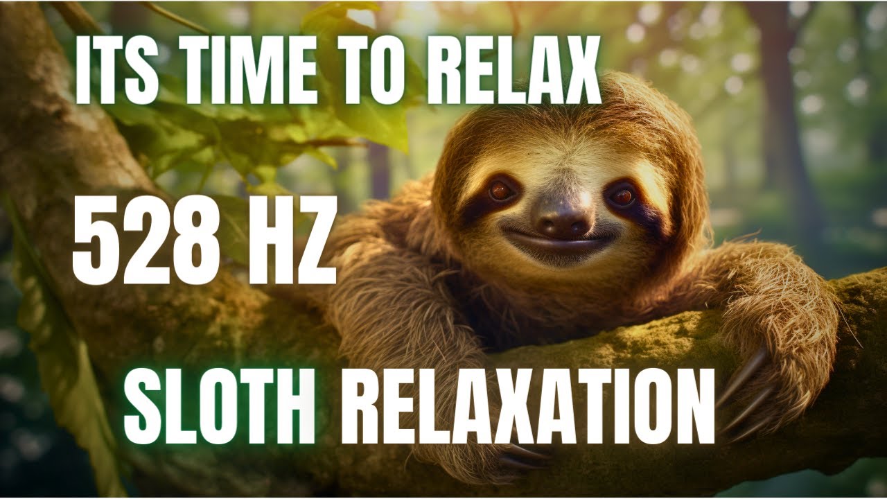 528 Hz Relaxing Sloths - Unwind with Nature's Slowest, Cutest Creatures 