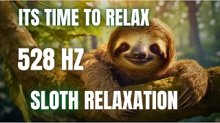 528 Hz Relaxing Sloths - Unwind with Nature's Slowest, Cutest Creatures #animallover #wildlife