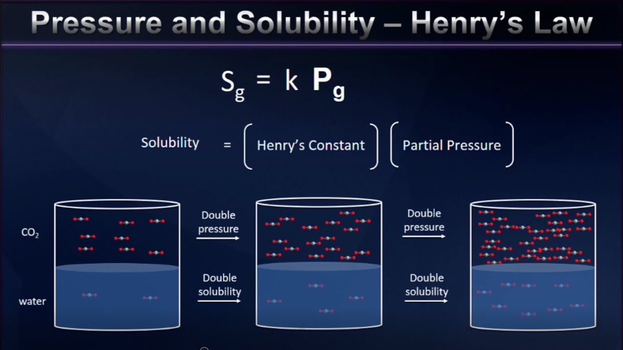 Henry'S Law And Gas Solubility Explained