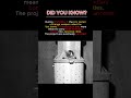 The Strange WWII Plan to Use Bats as Bombs #shorts