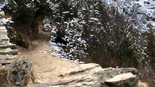 SANY1145.MP4 AAA NEWS DAY5 Debuche - Dingboche Vol.6