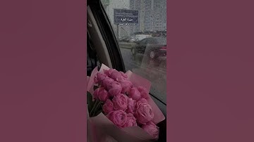 سورة البقرة القارئ ماهر المعيقلي🤍#القرآن_الكريم#ماهر_المعيقلي#سورة_البقرة