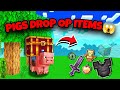 Minecraft But Pigs Drop  OP Items 😮|