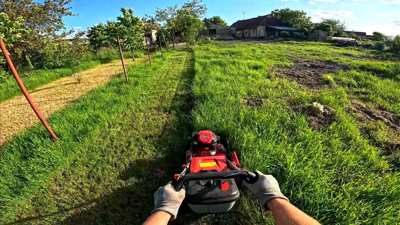 Mowing INSANELY Tall Grass | GoPro POV Lawn Care (No Talking)