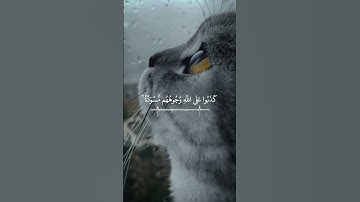 سورة الزمر || عبدالبديع غيلان #foryou #quran