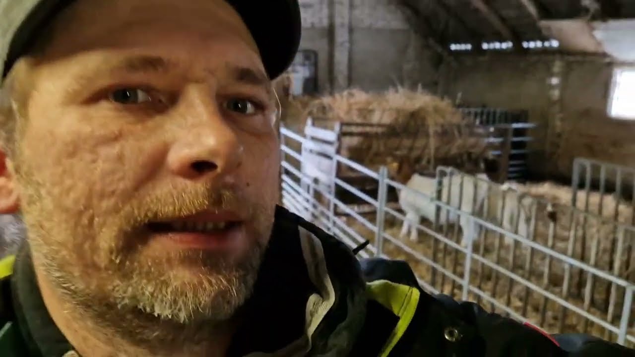 Vorbereitung auf Die Lammzeit Stallaufbau